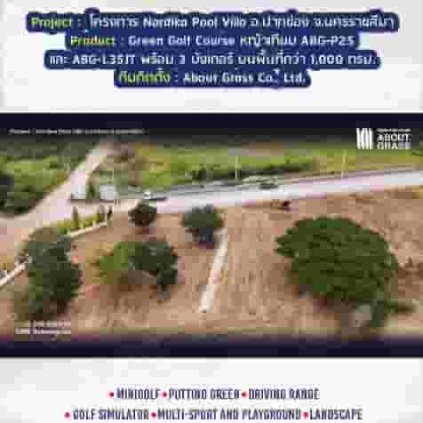 Minigolf หญ้าเทียม โครงการ Nordika Pool Villa