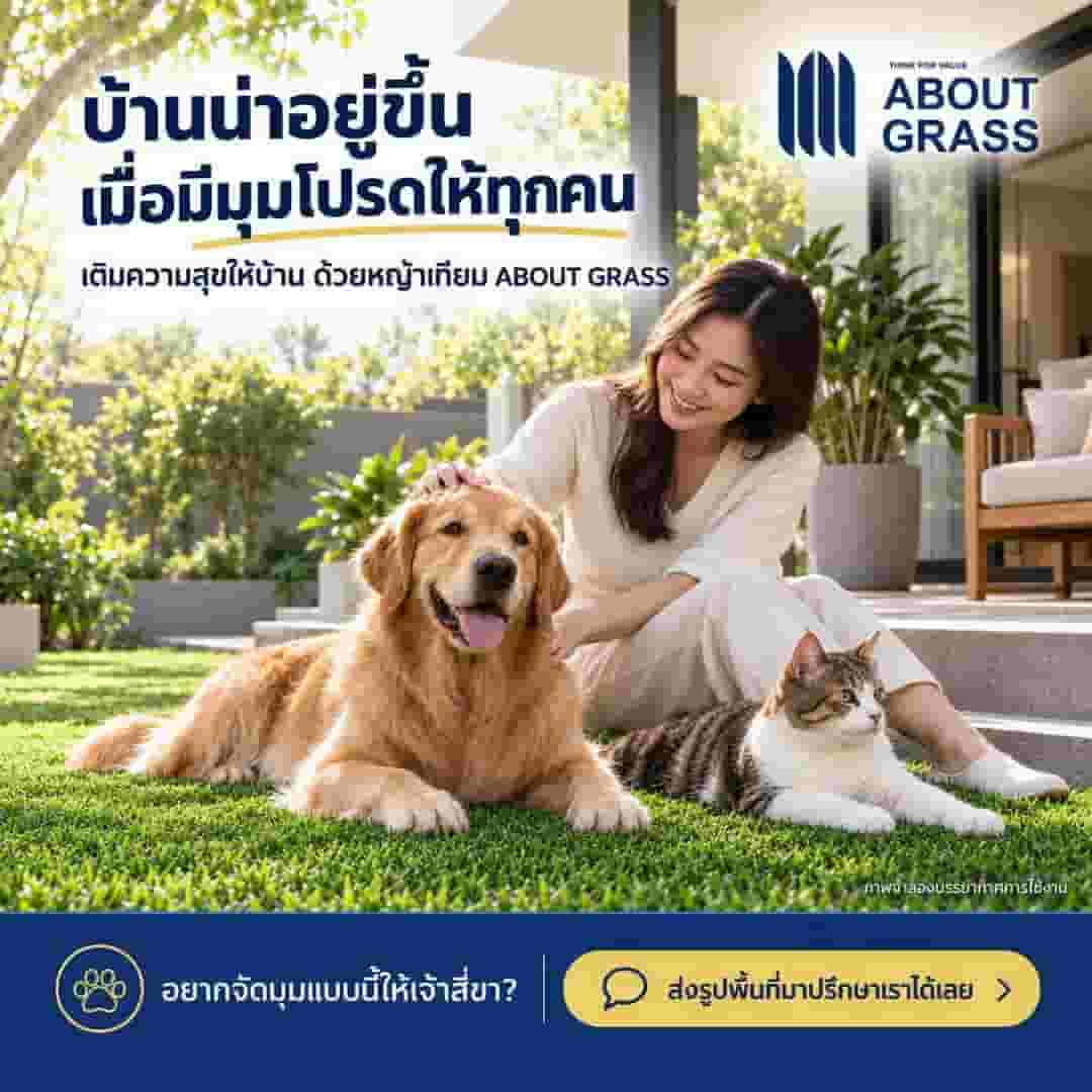 หญ้าเทียมที่ดี…ต้องใส่ใจทั้งคนและสัตว์เลี้ยง