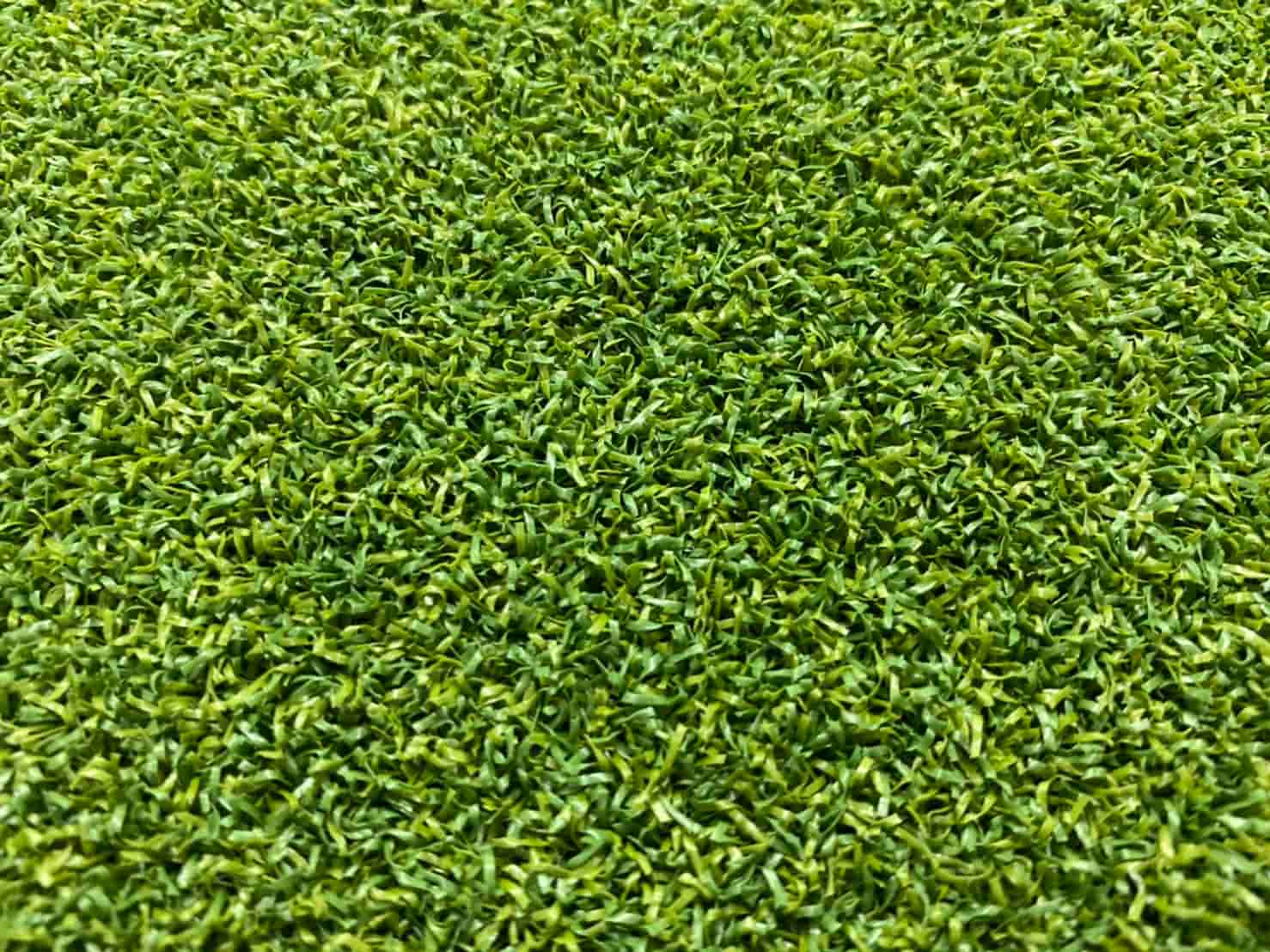 หญ้าเทียมสูง 16 mm. - Image 2