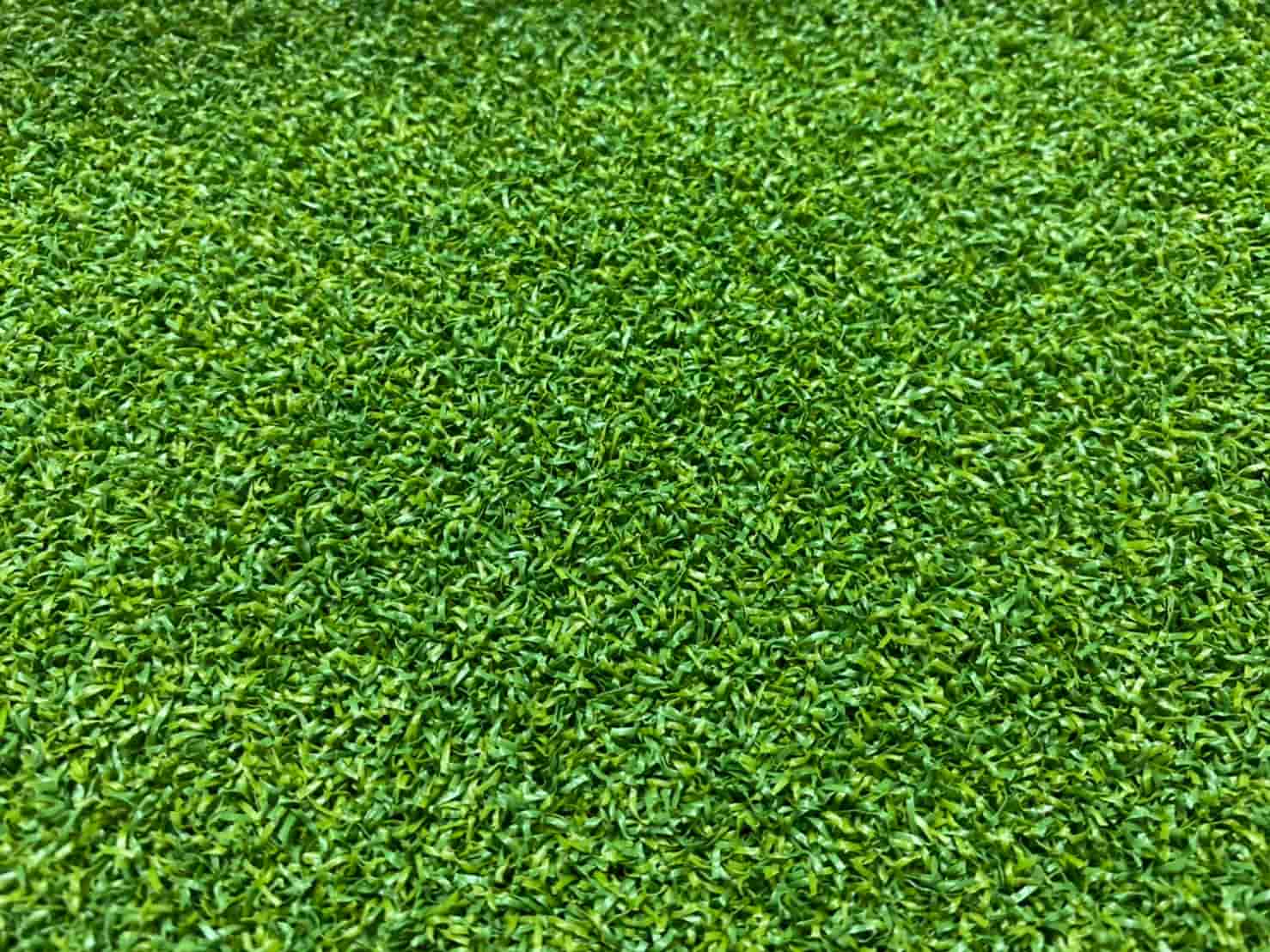 หญ้าเทียมสูง 16 mm. - Image 3