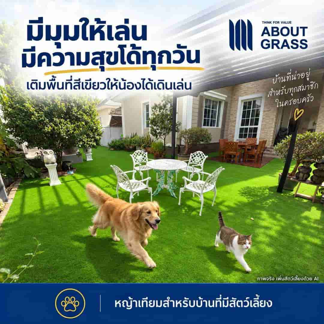 หญ้าเทียมที่ดี…ต้องใส่ใจทั้งคนและสัตว์เลี้ยง - Image 2
