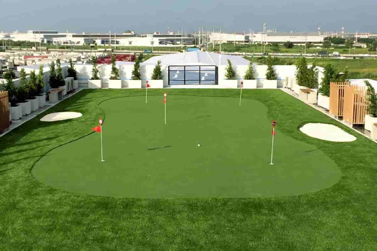 จัดสวนบนดาดฟ้าไม่ยากอย่างที่คิด! วิธีเลือกต้นไม้และหญ้าแบบมือโปร - Image 1